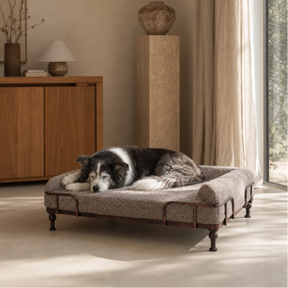Cama Motion Care Gris con Base Soho