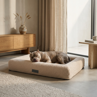 Cama Essential Memory Foam Beige