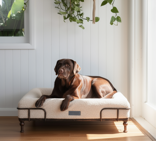 Cama Essential Memory Foam Beige con Base Soho