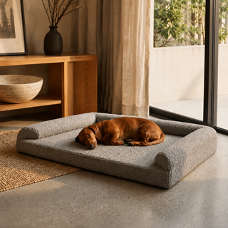 Cama Motion Care Memory Foam