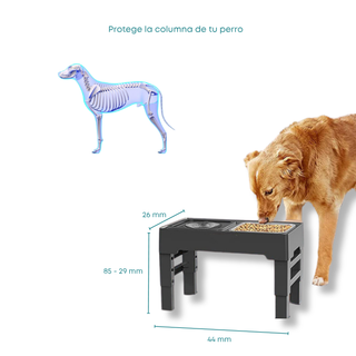 Alzador de platos para perros con altura ajustable