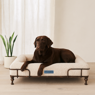 Cama Essential Memory Foam Beige con Base Soho