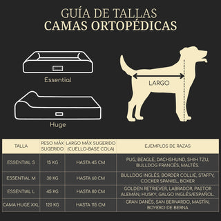 Cama Essential Memory Foam Gris con Base Artisan Lenga