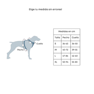 Arnés acolchado anti tirones y doble gancho
