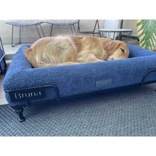 Placa 3D Nombre Mascota