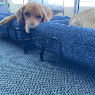 Placa 3D Nombre Mascota