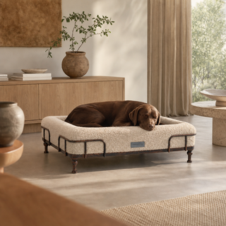 Cama Essential Memory Foam Beige con Base Soho