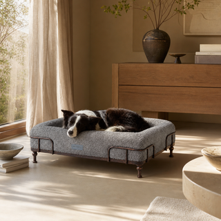 Cama Essential Memory Foam Gris con Base Soho