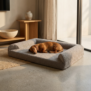 Cama Motion Care Memory Foam