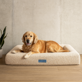 Cama Essential Memory Foam Beige