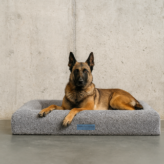 Cama Essential Memory Foam Gris