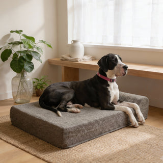 Cama Huge Memory Foam Gris