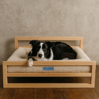 Cama Essential Memory Foam Beige con Base Artisan Lenga