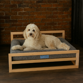 Cama Essential Memory Foam Gris con Base Artisan Lenga